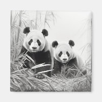 Panda Animal Discovery Wild Natuur Ink Sketch Art