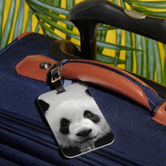 Panda Bagage Labels (Voorkant Insitu 1)