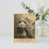 Panda Bamboe Hooglanden China OUD Briefkaart (Staand voorkant)