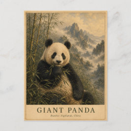 Panda Bamboe Hooglanden China OUD Briefkaart
