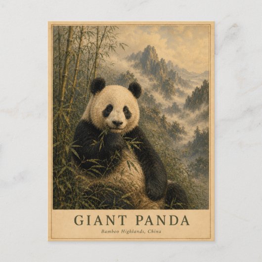 Panda Bamboe Hooglanden China OUD Briefkaart (Voorkant)