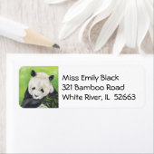 Panda Bear address label (Insitu)
