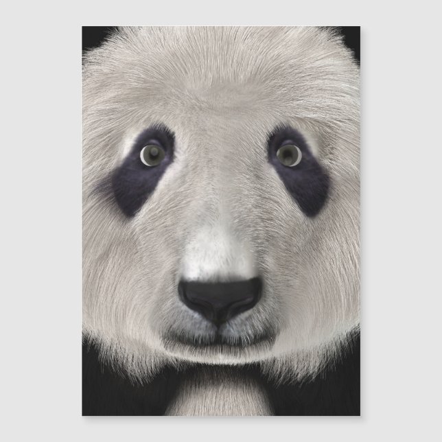 Panda Beer (Voorkant)