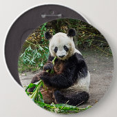 Panda Beer 1 Ronde Button 6,0 Cm (Voorkant /achterkant)