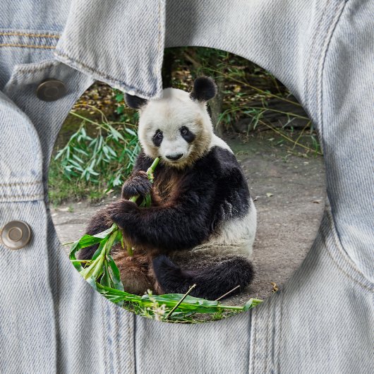 Panda Beer 1 Ronde Button 6,0 Cm (In situ)