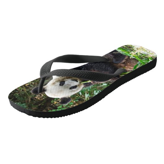 Panda Beer 1 Teenslippers (Schuin)