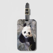 Panda Beer Bagagelabel (Voorkant (verticaal))