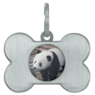 panda beer beren op maat personaliseren jubilea huisdieren naamplaatje