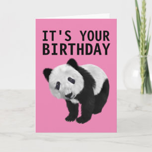PANDA BEER BIRTHDAY KAART
