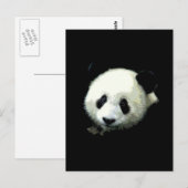 Panda Beer Briefkaart (Voorkant / Achterkant)