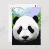 Panda Beer Briefkaart (Voorkant / Achterkant)