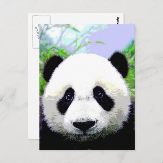 Panda Beer Briefkaart (Voorkant / Achterkant)