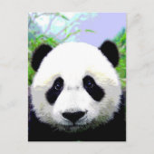 Panda Beer Briefkaart (Voorkant)
