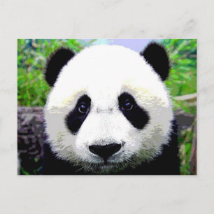 Panda Beer Briefkaart