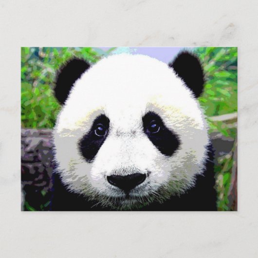 Panda Beer Briefkaart (Voorkant)