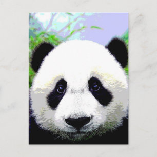 Panda Beer Briefkaart
