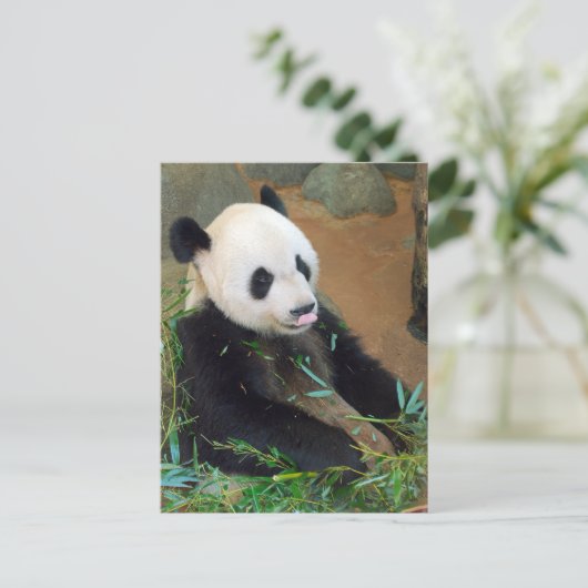 Panda Beer Briefkaart (Staand voorkant)