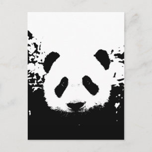 Panda Beer Briefkaart
