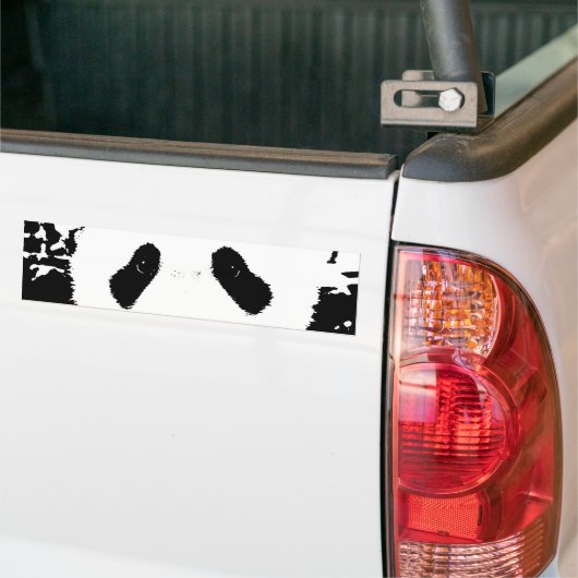 Panda Beer Bumpersticker (Op Truck)
