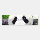 Panda Beer Bumpersticker (Voorkant)