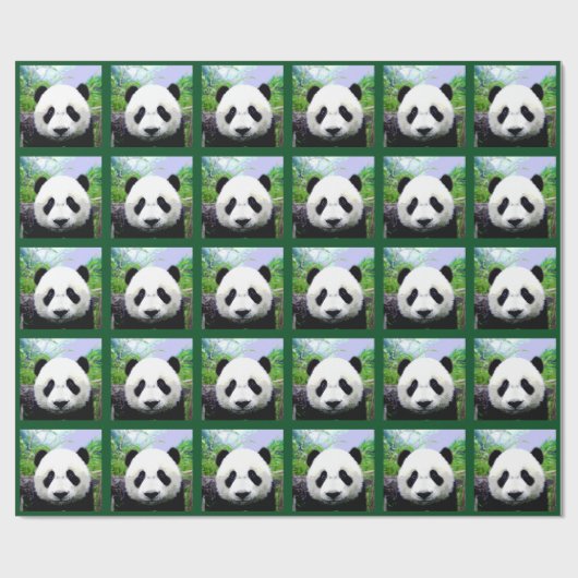 Panda Beer Cadeaupapier (Vlak)