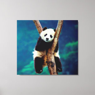 Panda Beer Canvas Afdruk