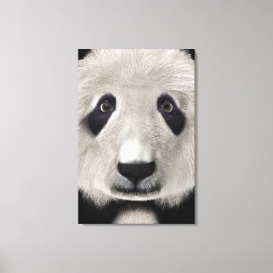 Panda Beer Canvas Afdruk