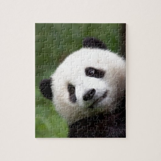 Panda Beer Cub Legpuzzel (Verticaal)