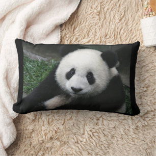 PANDA BEER CUDDLE KUSSENS
