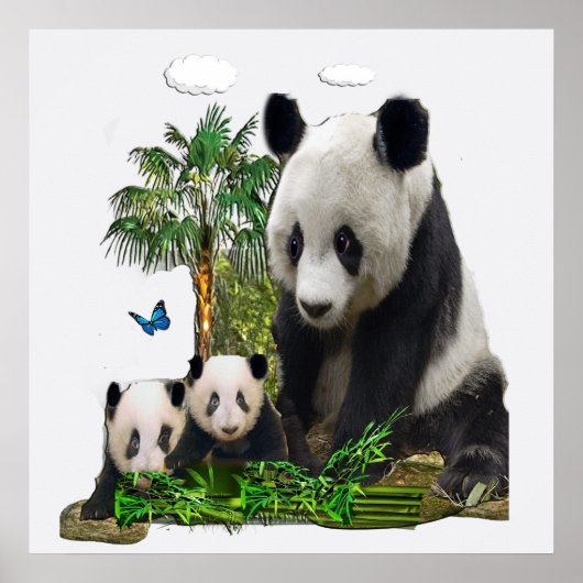 Panda beer design poster (Voorkant)