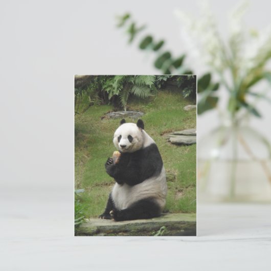 Panda-Beer die wat bamboe eet Briefkaart (Staand voorkant)
