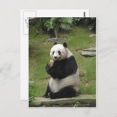 Panda-Beer die wat bamboe eet Briefkaart (Voorkant / Achterkant)