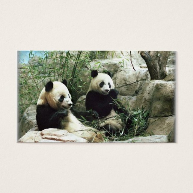 Panda-beer eet en speelt visitekaartje (Voorkant)