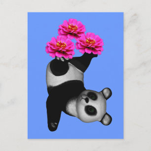 Panda-Beer en roze Zinnia-bloem-Briefkaart Briefkaart