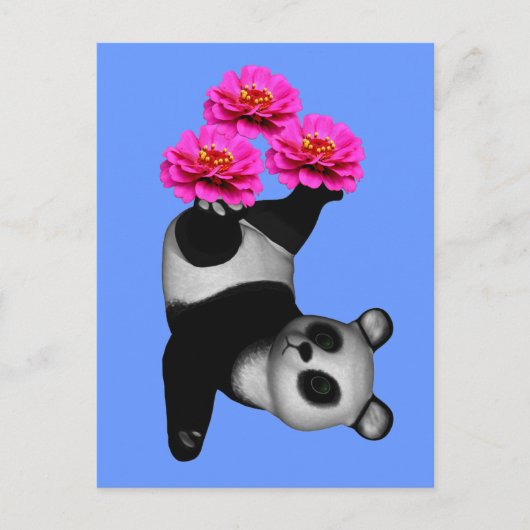 Panda-Beer en roze Zinnia-bloem-Briefkaart Briefkaart (Voorkant)