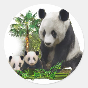 Panda beer en welpen kunst metaal ornament ronde sticker
