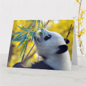 Panda Beer eten Bamboe Kaart (Gele Bloem)