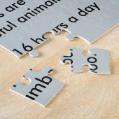 Panda beer feiten legpuzzel (Zijkant)