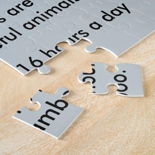 Panda beer feiten legpuzzel (Zijkant)