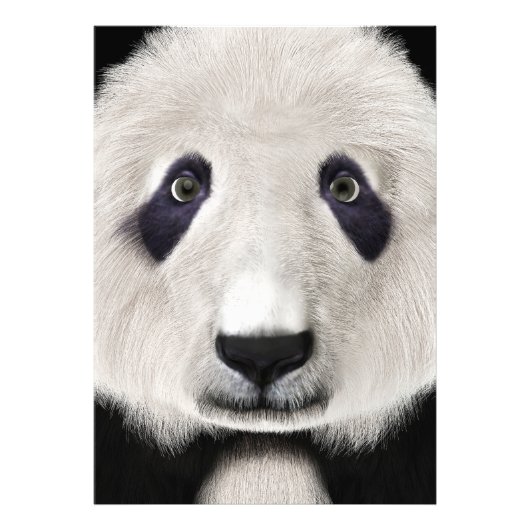 Panda Beer Foto Afdruk (Voorkant)
