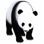 Panda Beer Fotobeeldje Ornament<br><div class="desc">schattig beer panda</div>