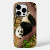 Panda Beer Hoesje-Mate iPhone case (Achterkant)