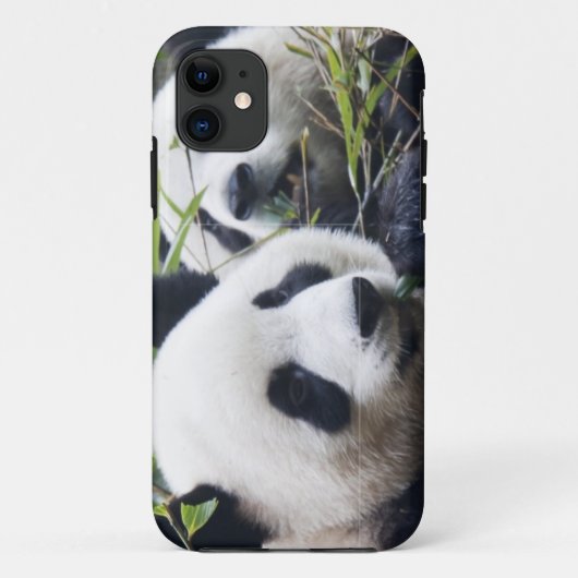 Panda Beer Hugs Case-Mate iPhone Case (Achterkant)