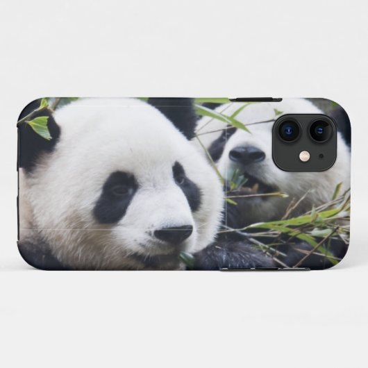 Panda Beer Hugs Case-Mate iPhone Case (Achterkant (horizontaal))