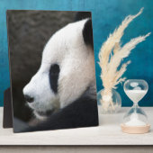 Panda Beer Hugs Fotoplaat (Zijkant)