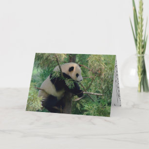 Panda Beer Hugs Kaart