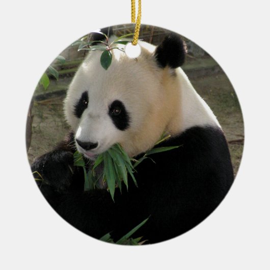 Panda Beer Hugs Keramisch Ornament (Voorkant)