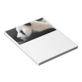 Panda Beer Hugs Notitieblok (Schuin)