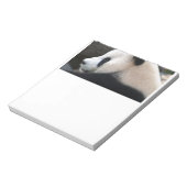 Panda Beer Hugs Notitieblok (Linkerzijde)