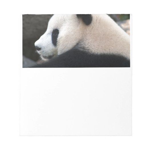 Panda Beer Hugs Notitieblok (Voorkant)